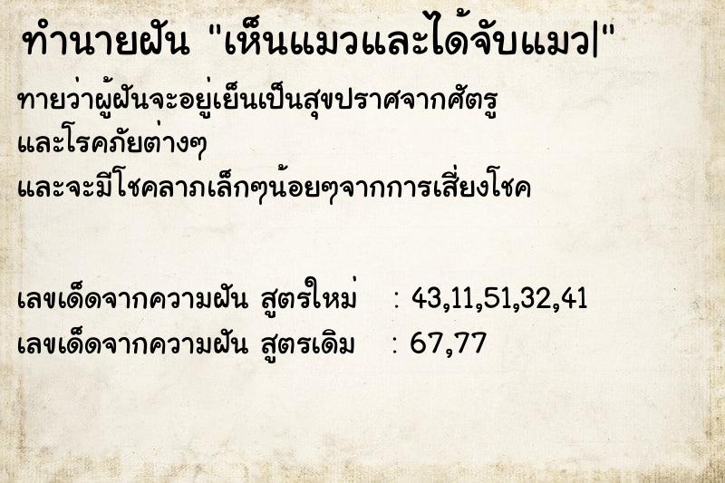 ทำนายฝัน เห็นแมวและได้จับแมว|